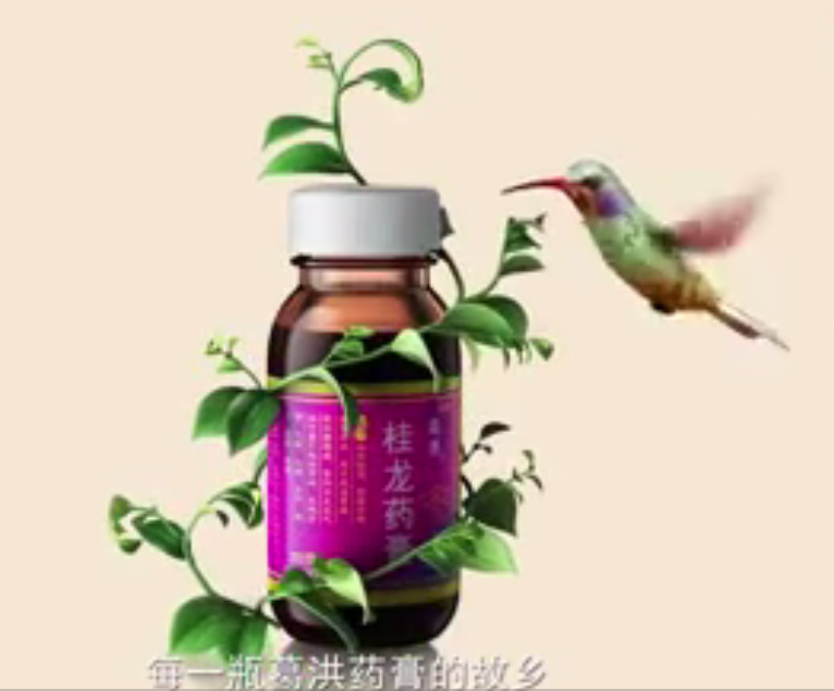 葛洪桂龙药膏的故乡