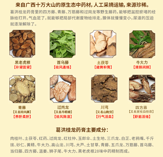 人工采摘药材恢弘