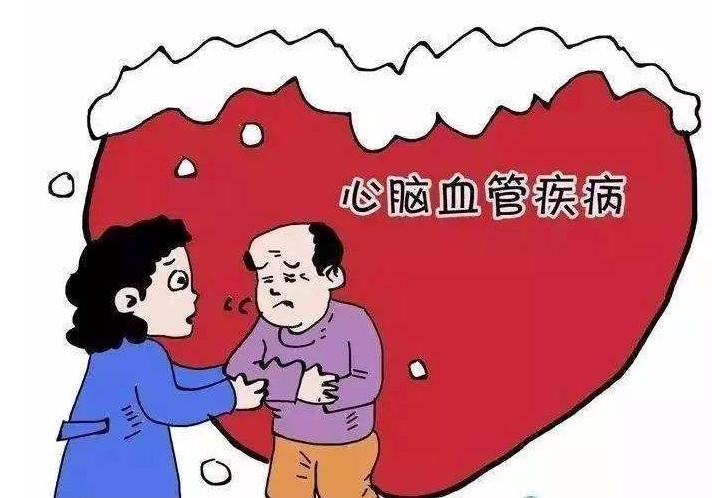 心脑血管疾病