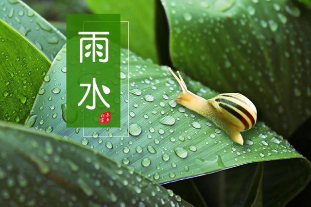 雨水节气